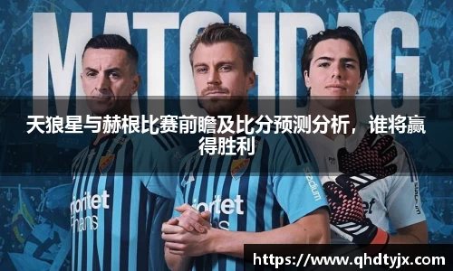 天狼星与赫根比赛前瞻及比分预测分析，谁将赢得胜利