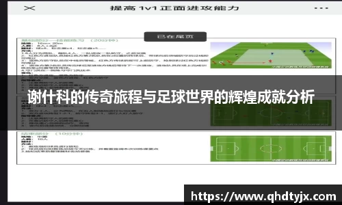 谢什科的传奇旅程与足球世界的辉煌成就分析